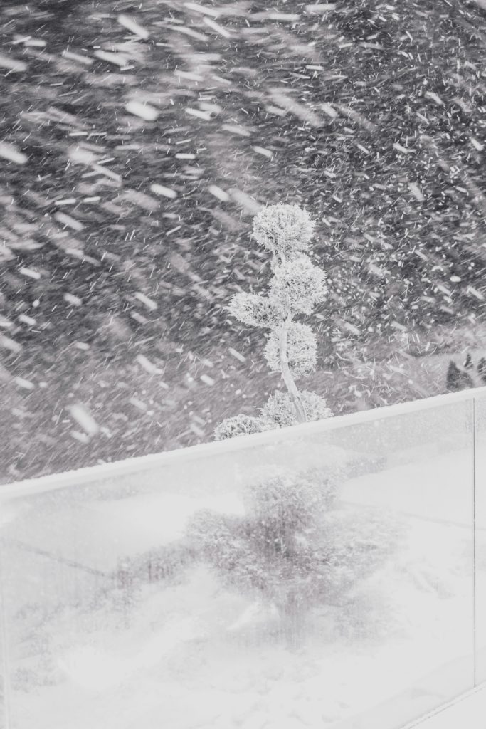 Photo by Christian SPULLER on Unsplash